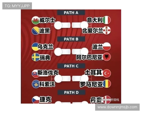 美加墨世界杯亚洲晋级规则的具体操作流程与实战应用指南